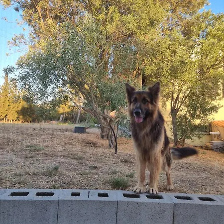 Mag بيت للعطل *